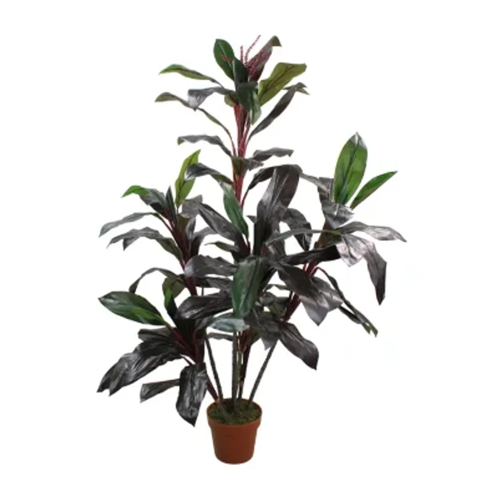 60'' Potted Green and Red Artificial Dracaena Plant