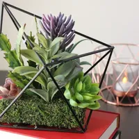 6.75'' Artificial Succulents Arrangement in Diamond Metal Wire Frame