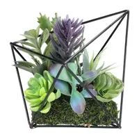 6.75'' Artificial Succulents Arrangement in Diamond Metal Wire Frame