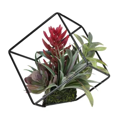 7'' Artificial Succulent Arrangement in Offset Metal Wire Frame