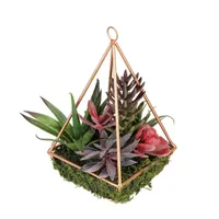 9" Artificial Succulents Arrangement in 4-Sided Copper Metal Wire Frame