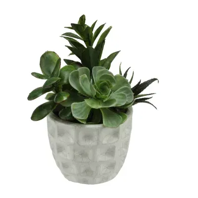 9.5'' Green and White Artificial Mixed Spring Potted Succulent Plant