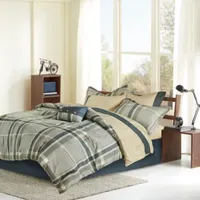 Intelligent Design Roger Comforter and Sheet Set with decorative pillow