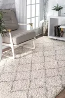 nuLoom Edwin Trellis Shaggy Area Rug