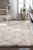 nuLoom Edwin Trellis Shaggy Area Rug