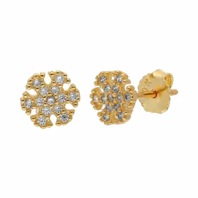 Aretes para dama en oro amarillo 10K con zirconias