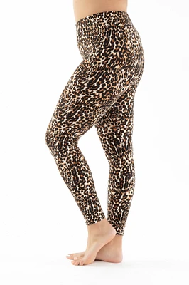 Cute Leopard - All Season