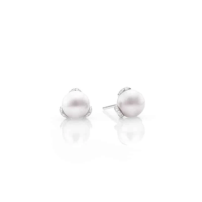 Embrace Akoya Pearl Earrings in 18K White Gold - La Maison Monaco