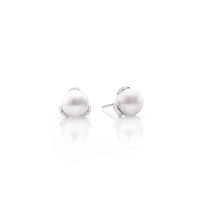 Embrace Akoya Pearl Earrings in 18K White Gold - La Maison Monaco