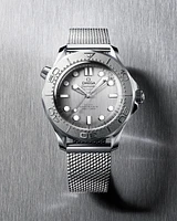 Seamaster Diver 300M