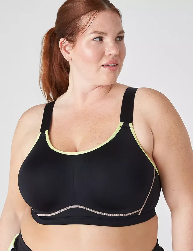 lane bryant sports bra
