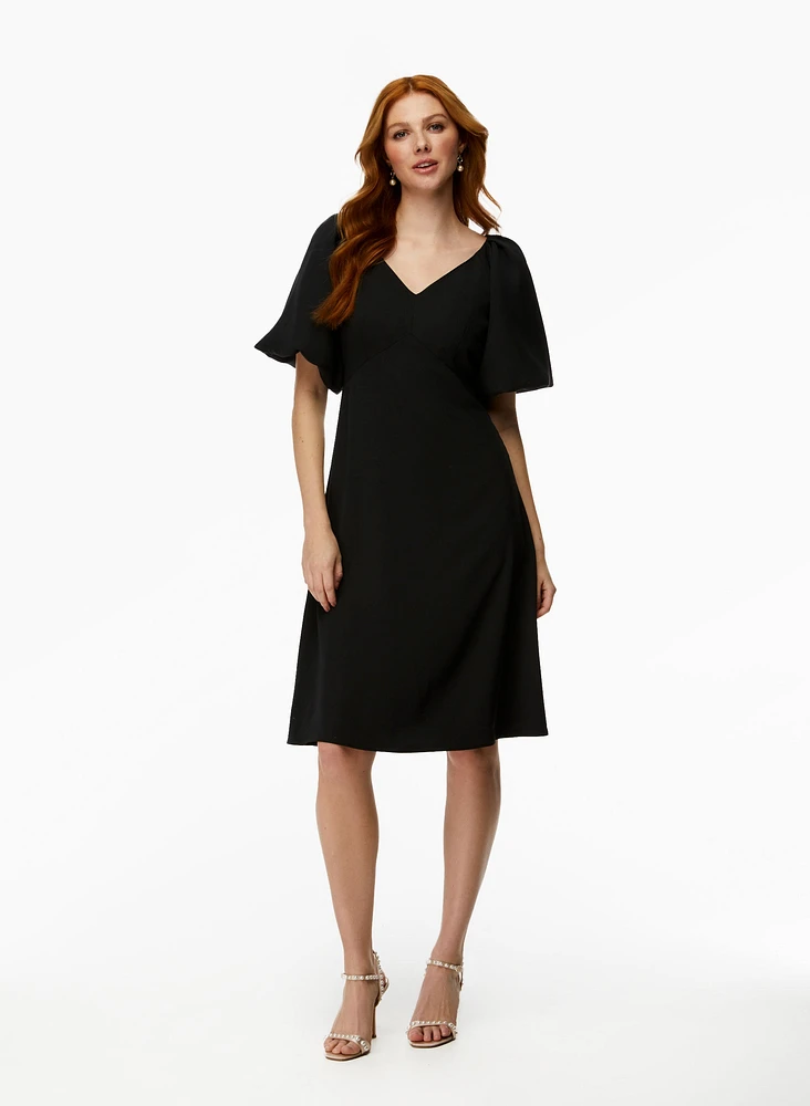 Puff Sleeve Fit & Flare Dress