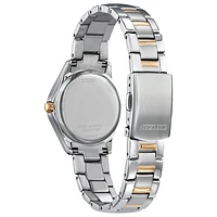 CRYSTAL 31MM