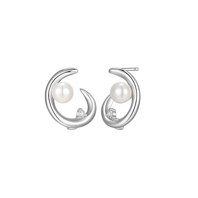 SILVER EARRINGS
