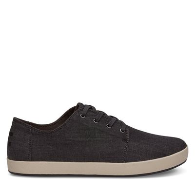 Baskets véganes Payton en chambray noir pour hommes Gris foncé, taille - Toms