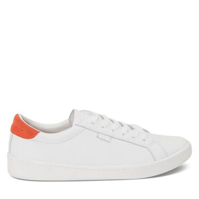Baskets Ace blanches pour femmes, taille - Keds
