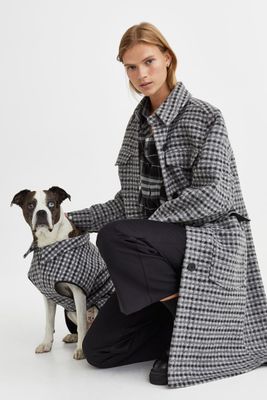 Veste pour chien doublée