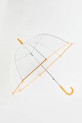 Transparent Umbrella