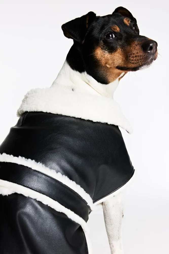 Teddy-fleece-lined Dog Jacket