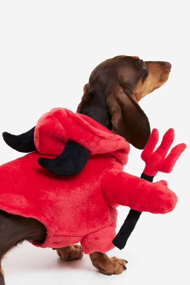 Dog Costume