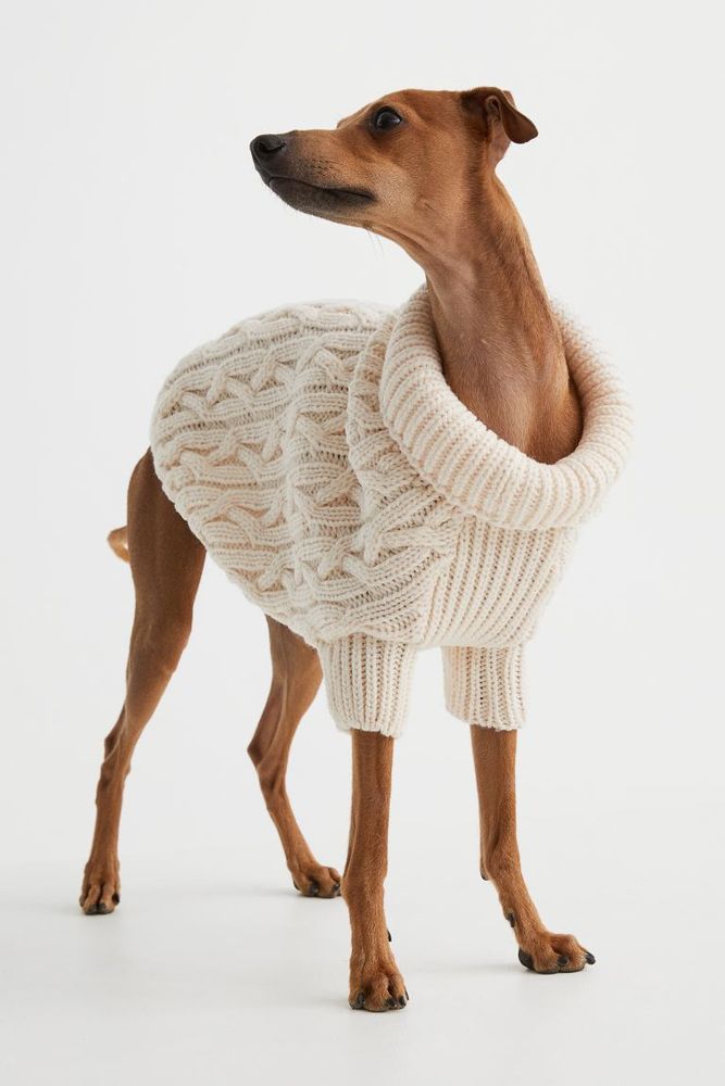 Pull pour chien en maille torsadée