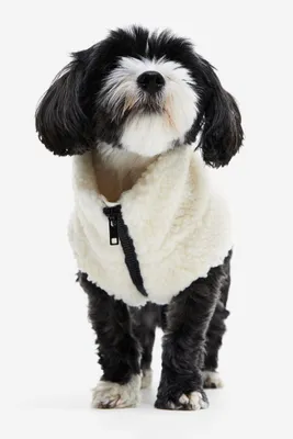 Teddy Fleece Dog Jacket