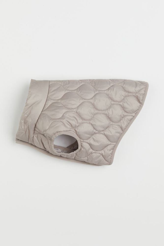 Veste pour chien matelassée
