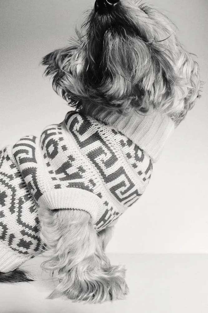 Jacquard-knit Dog Sweater