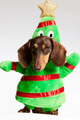 Disfraz de árbol Navidad para perro