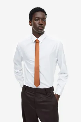 2-pack Satin Ties