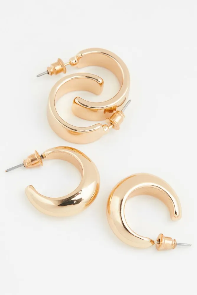 2 Pairs Hoop Earrings