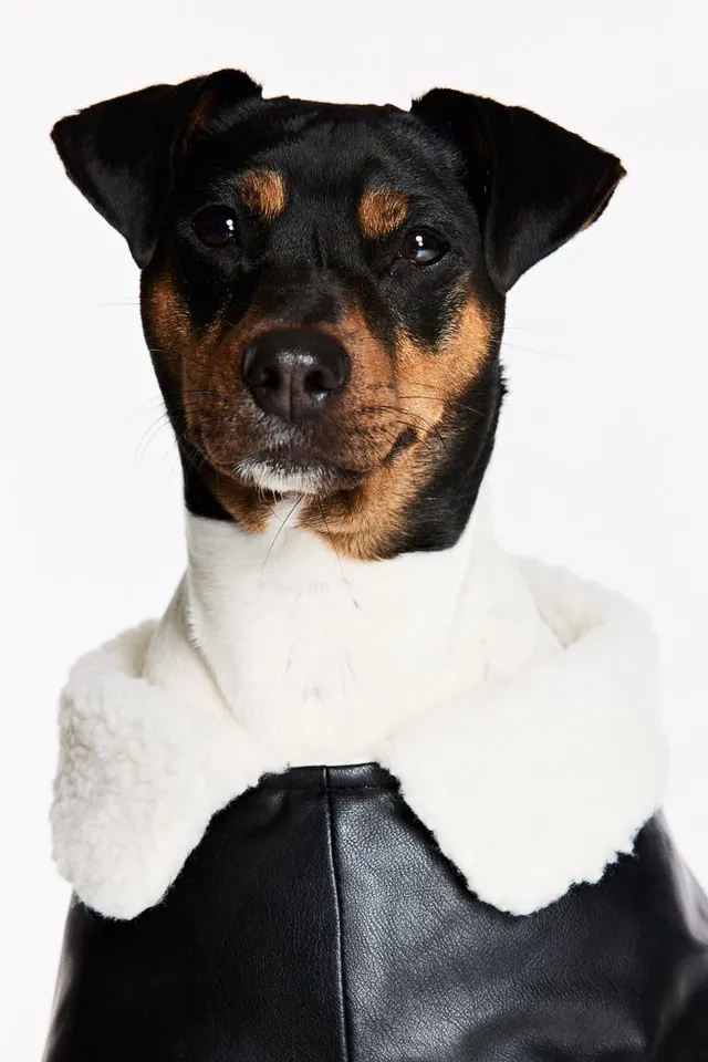 H&M Teddy-fleece-lined Dog Jacket