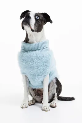 Fluffy Dog Sweater