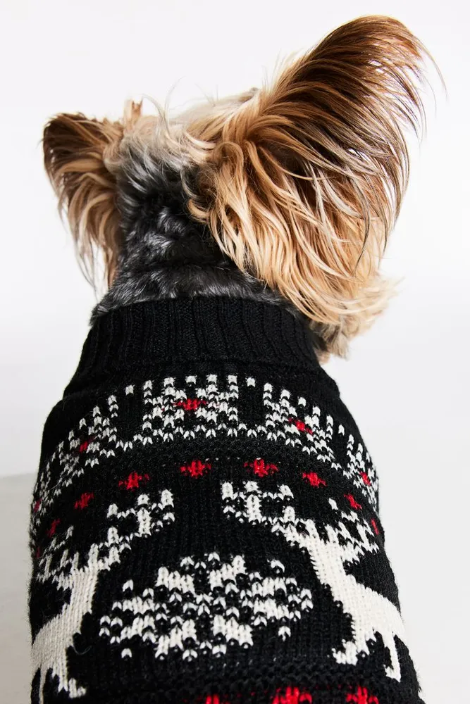 Jacquard-knit Dog Sweater