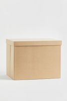Large Storage Box with Lid