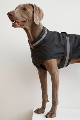 Fleece-lined Dog Jacket