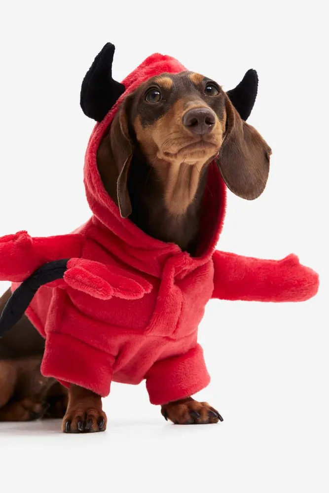 Dog Costume