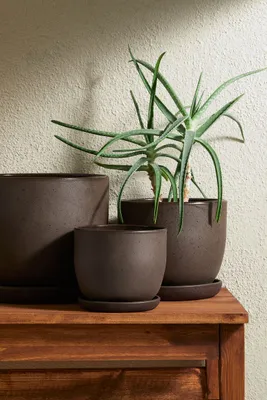 Terracotta Plant Pot & Saucer