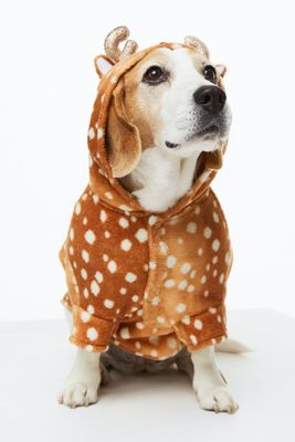Dog Costume