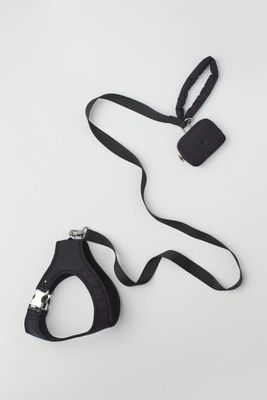 Dog harness with Leash