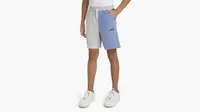 Colorblocked Jogger Shorts Big Boys S-XL