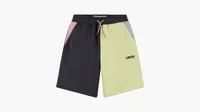 Colorblocked Jogger Shorts Big Boys S-XL