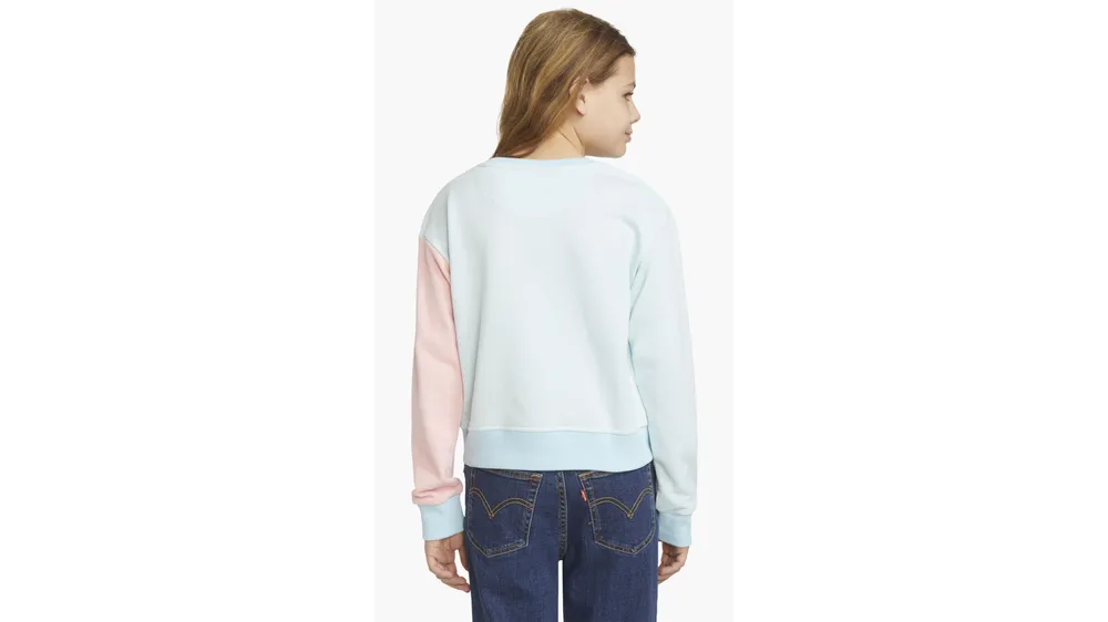 Colorblock Crewneck Sweatshirt Big Girls S-XL