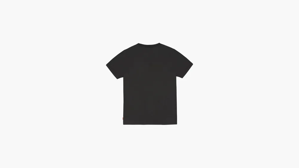 Levi's® Flame Batwing Logo T-Shirt Big Boys 8-20