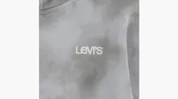 Levi's® Haze Effect Logo Hoodie Big Boys 8-20