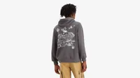 Standard Fit Graphic Hoodie Sweatshirt