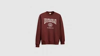 Relaxed Graphic Crewneck Sweatshirt