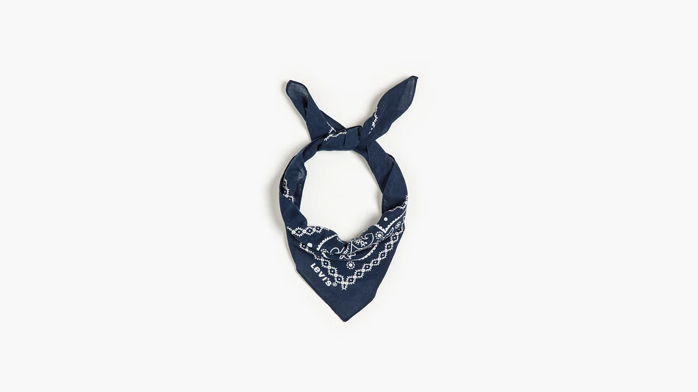 Paisley Bandana
