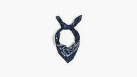 Paisley Bandana