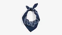 Paisley Bandana